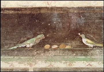 Vögel, die Nüsse essen (Detail)
